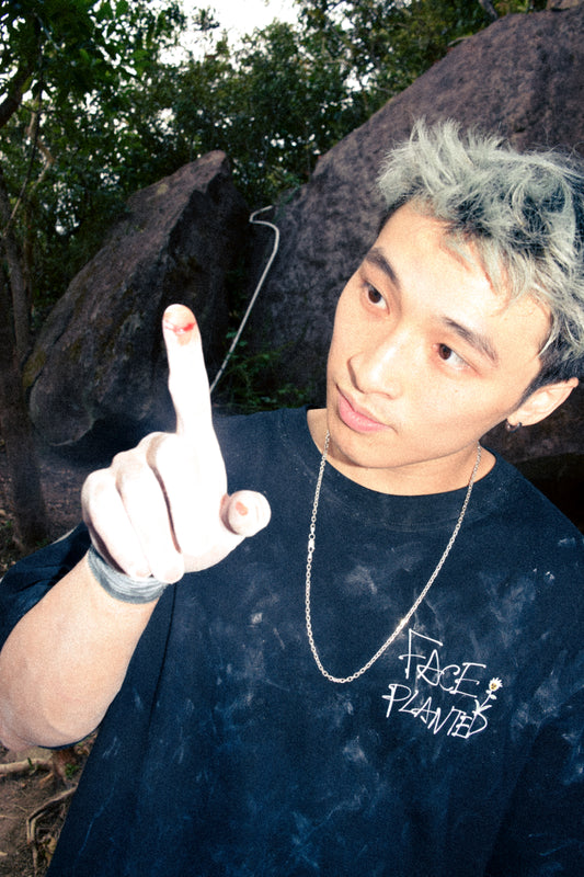 Face Planted Japan Arc