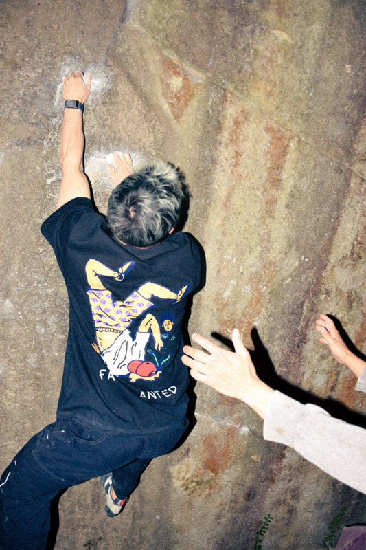 Face Planted Japan Arc