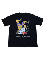 Face Planted Japan Arc