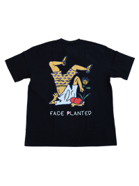 Face Planted Japan Arc