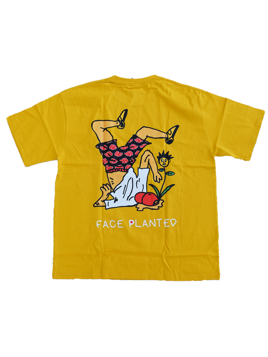 Face Planted Japan Arc