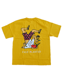 Face Planted Japan Arc